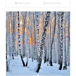 Meet your Posher, Charmaine